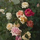 George Cochran Lambdin — White, Pink, Yellow and Red Roses