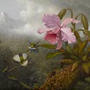 Martin Johnson Heade — Cattleya Orchid, Two Hummingbirds and a Beetle  