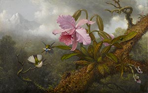 Cattleya Orchid, Two Hummingbirds and a Beetle ca. 1875-1890